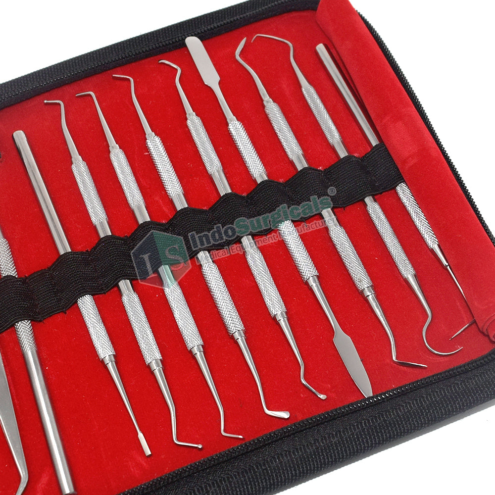 Dental Conservative Instrument Kit, Set of 20 Additional View
