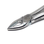 Upper Anteriors #1 Dental Extraction Forceps Additional View