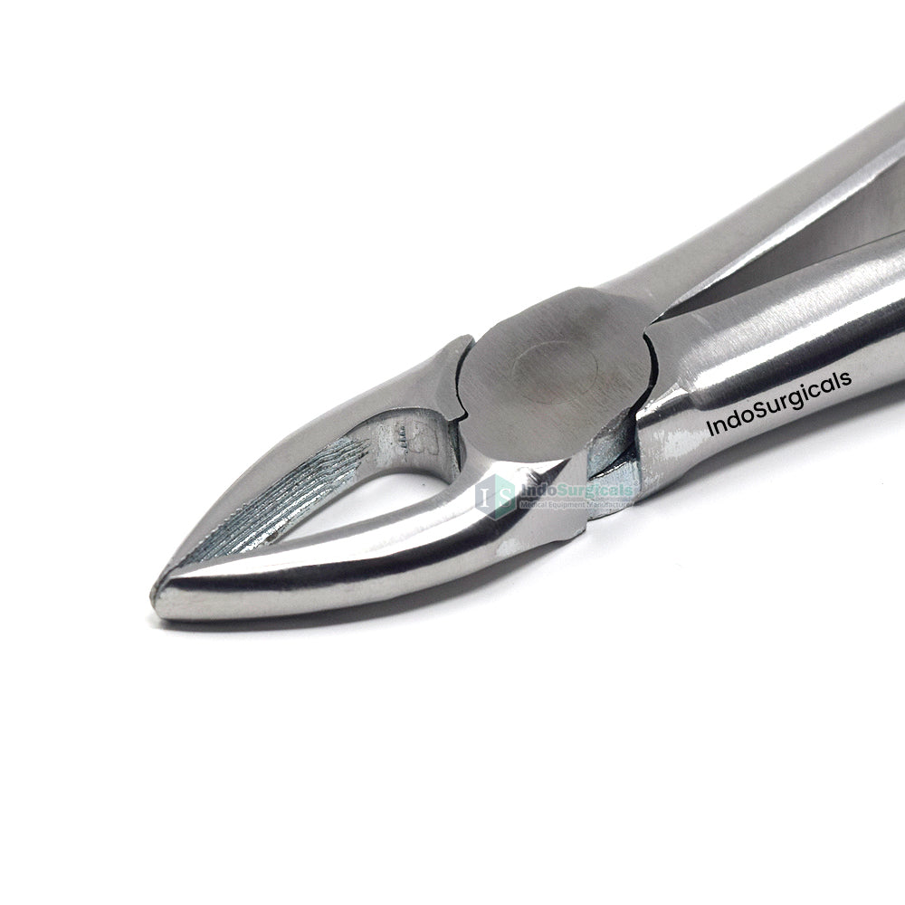 Upper Anteriors #1 Dental Extraction Forceps Additional View