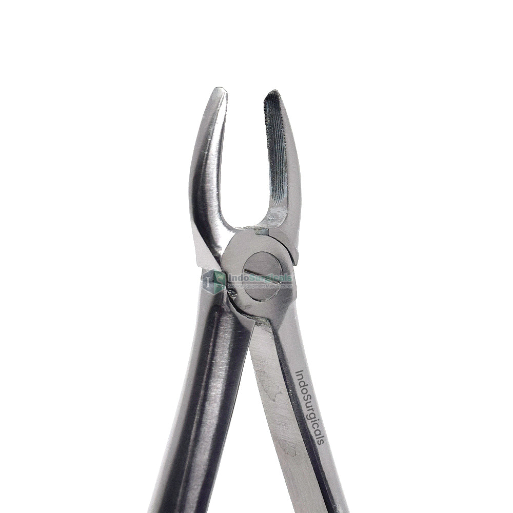 Upper Anteriors #1 Dental Extraction Forceps