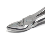 Upper Premolars #7 Dental Extraction Forceps Additional View
