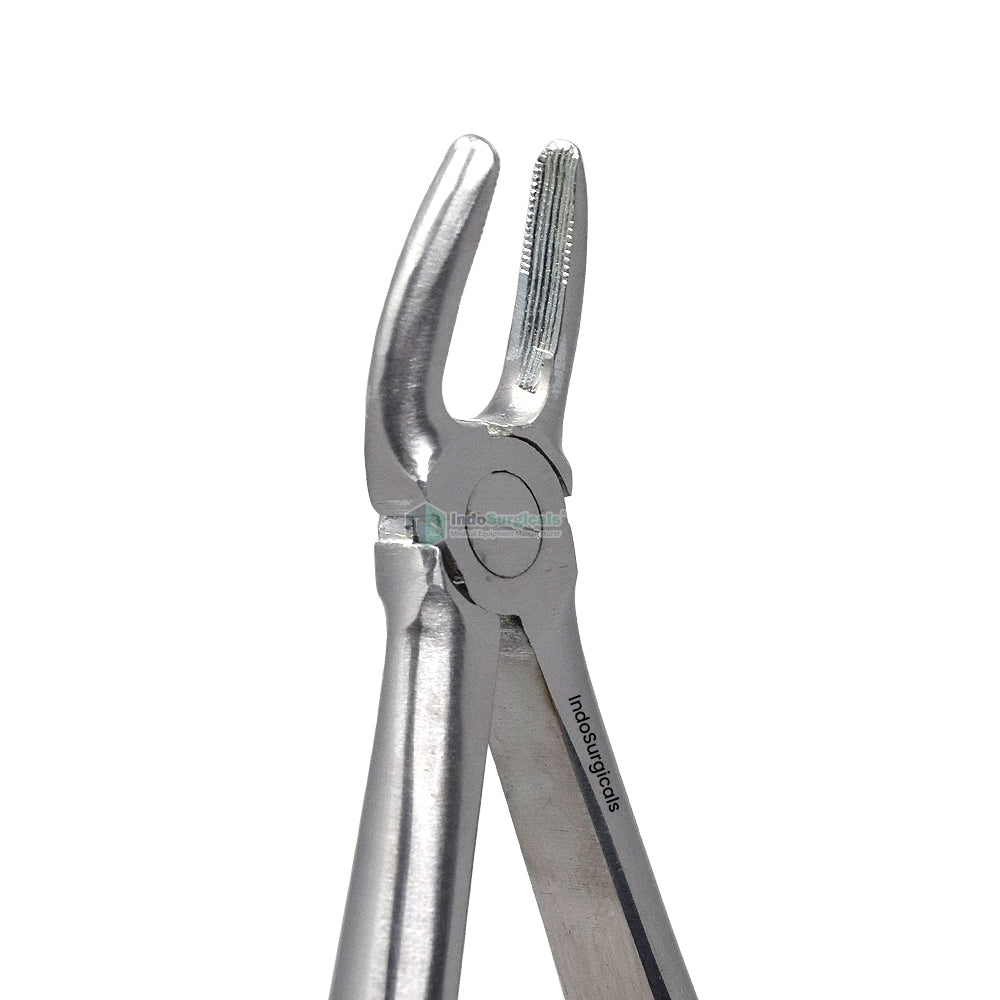 Upper Premolars #7 Dental Extraction Forceps