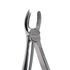 Upper Molars Right #17 Dental Extraction Forceps