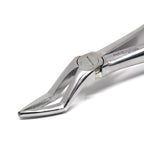 Upper Roots #51A Dental Extraction Forceps Additional View