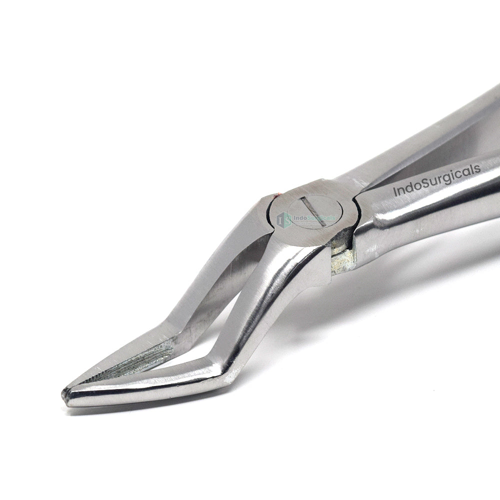 Upper Roots #51A Dental Extraction Forceps Additional View