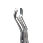 Upper Third Molars #67A Dental Extraction Forceps