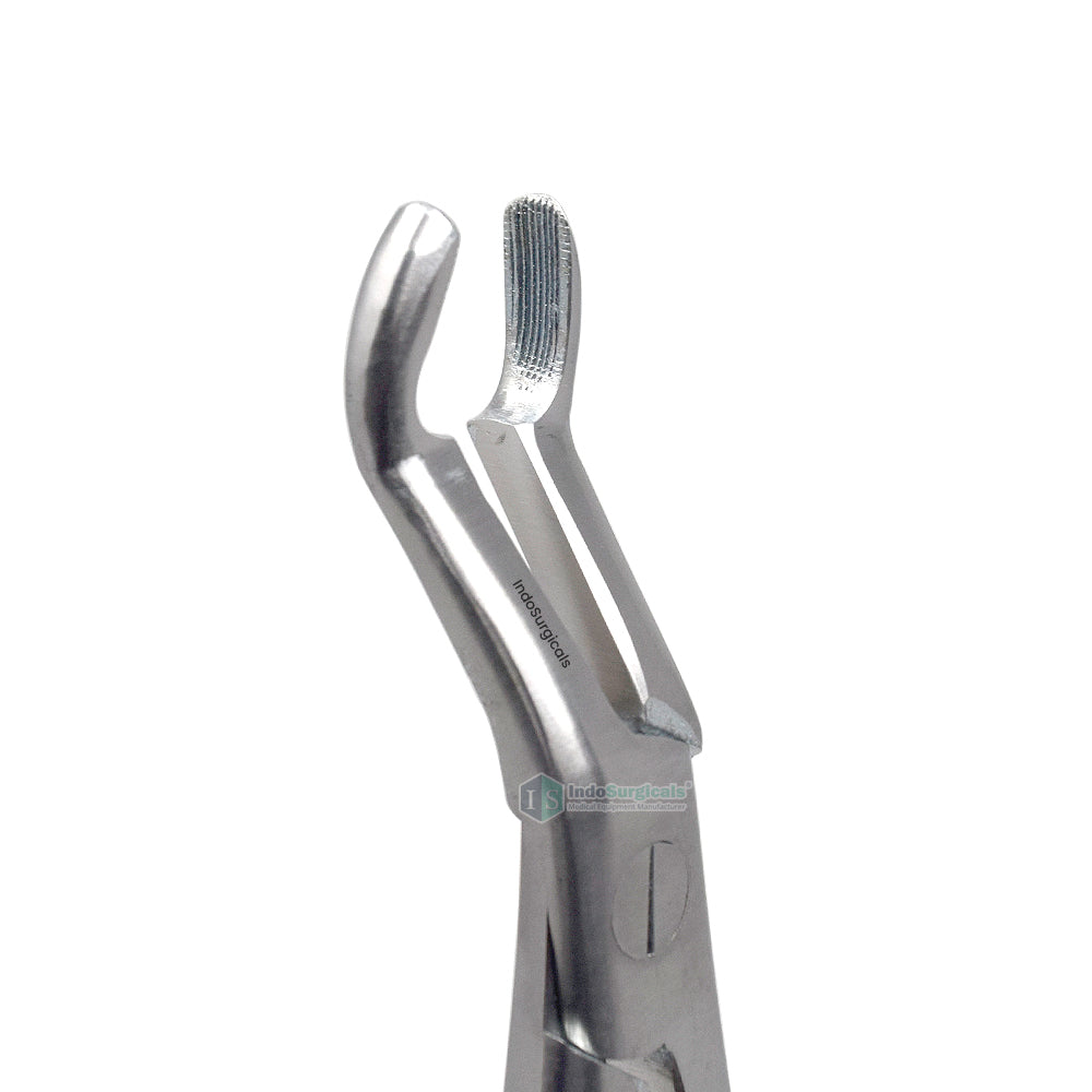 Upper Third Molars #67A Dental Extraction Forceps
