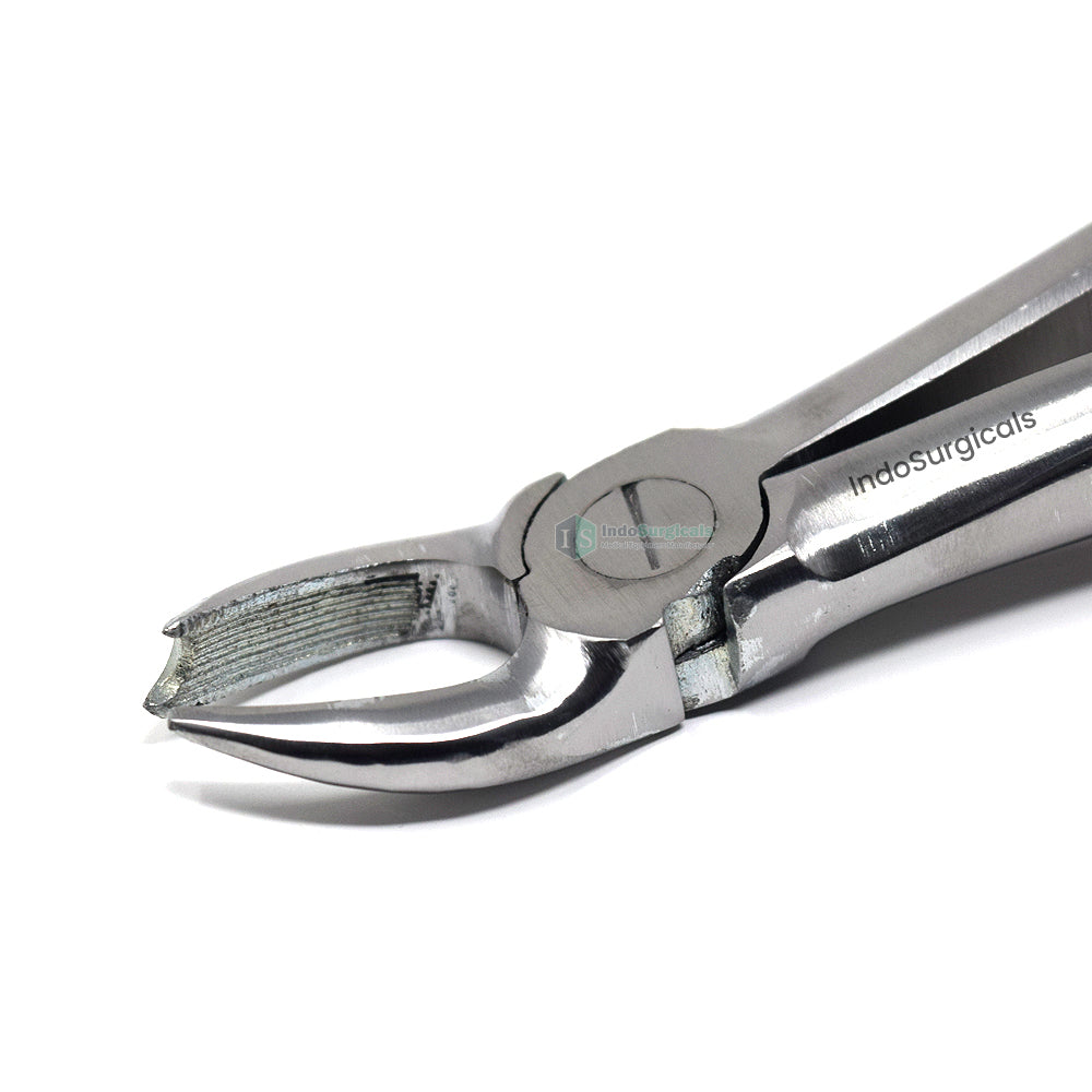 Upper Molars Right (Cowhorn) #89 Dental Extraction Forceps Additional View