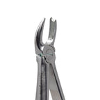 Upper Molars Right (Cowhorn) #89 Dental Extraction Forceps
