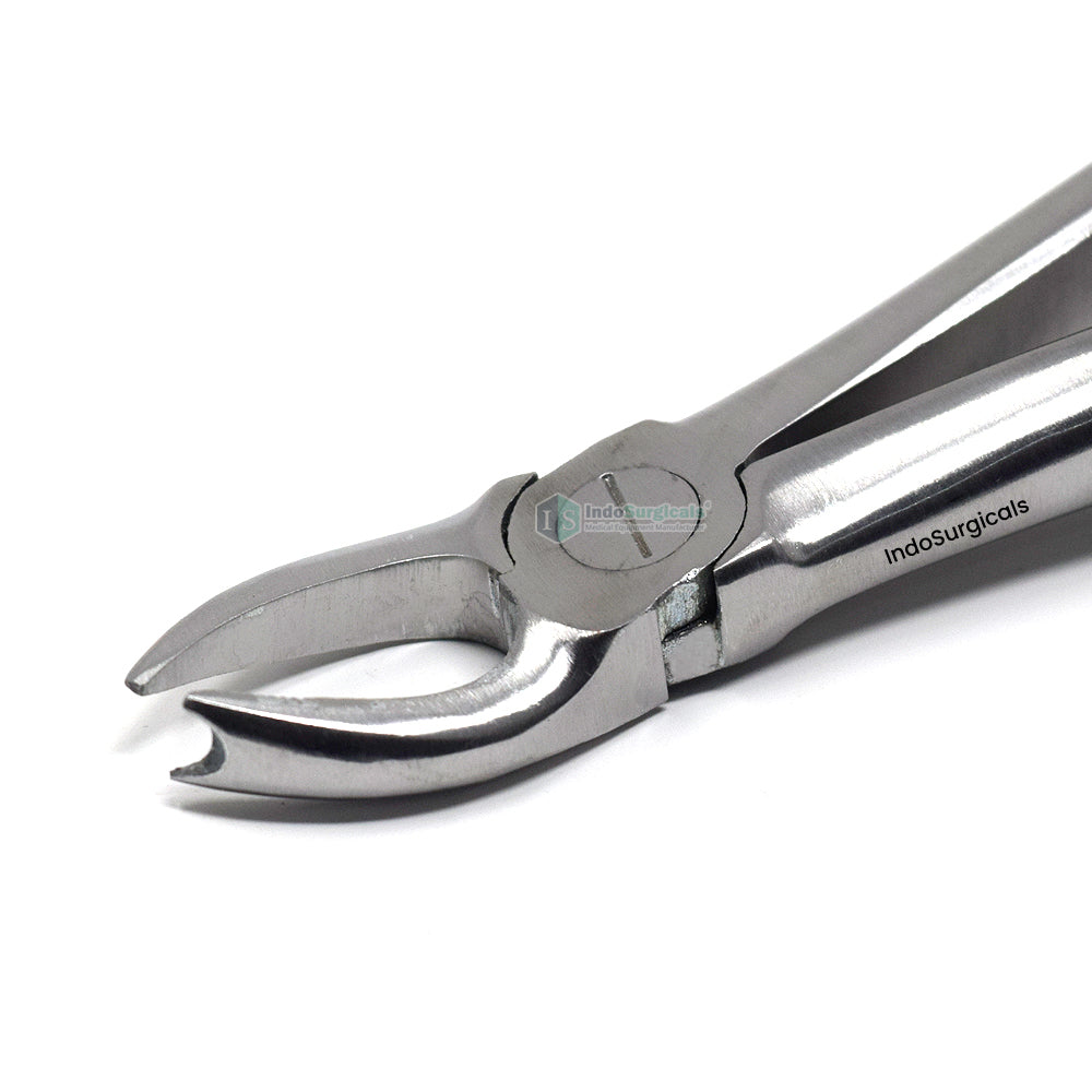 Upper Molars Left (Cowhorn) #90 Dental Extraction Forceps Additional View
