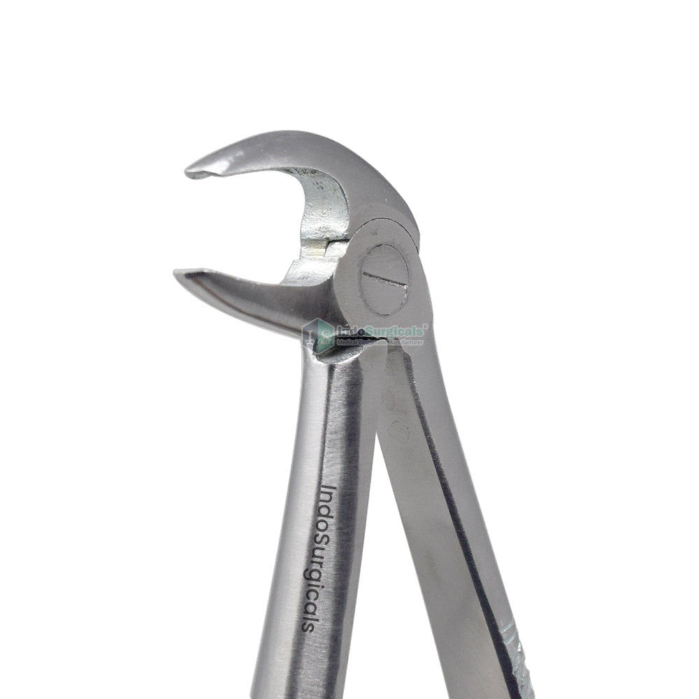 Lower Premolars #13 Dental Extraction Forceps