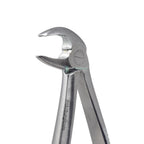 Lower Premolars #13 Dental Extraction Forceps