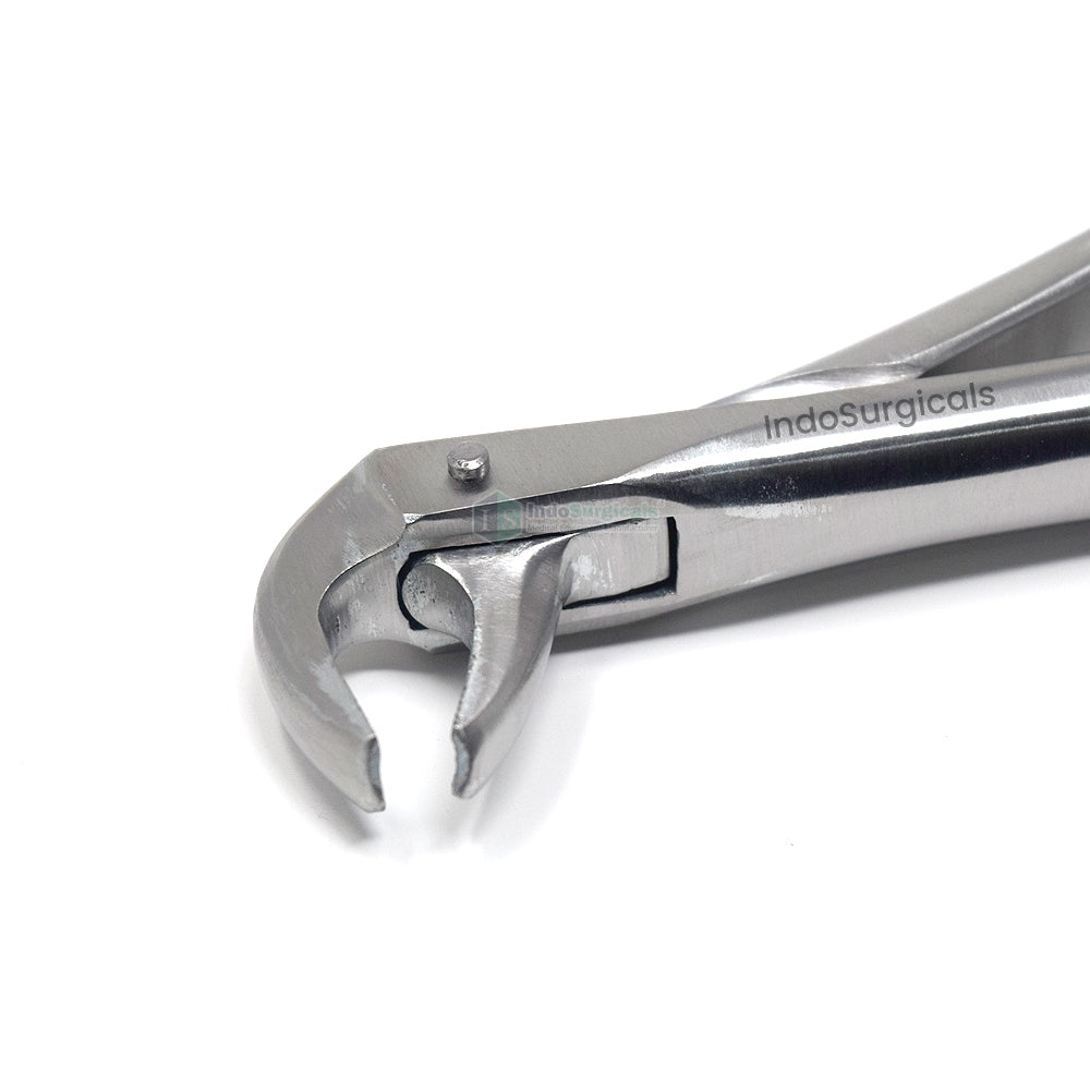 Lower Molars #73 Dental Extraction Forceps Additional View