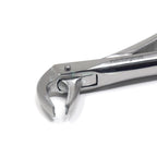 Lower Molars #73 Dental Extraction Forceps Additional View