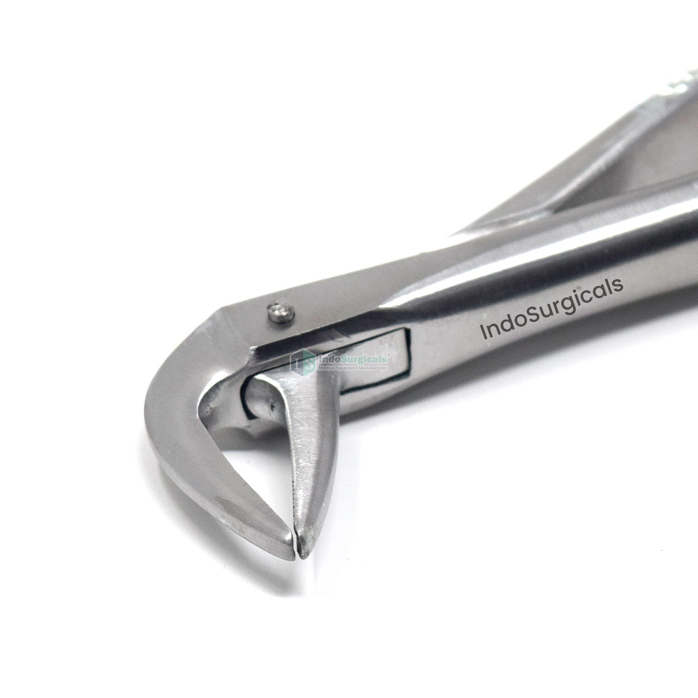 Lower Roots #74 Dental Extraction Forceps Additional View