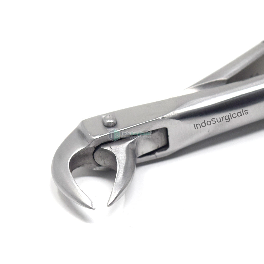 Lower Molars (Cowhorn) #86 Dental Extraction Forceps Additional View