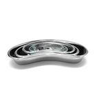 Kidney Tray (General Quality) Additional View