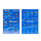 Atomic Model Set (Euro Design) Additional View