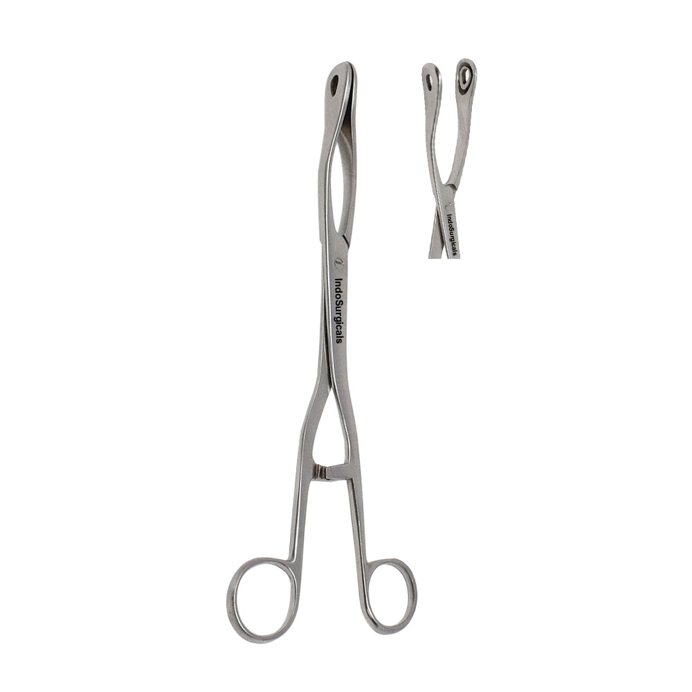 Piles Holding Forceps