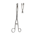 Piles Holding Forceps
