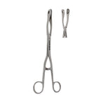 Piles Holding Forceps