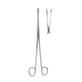Ovum Forceps 10"