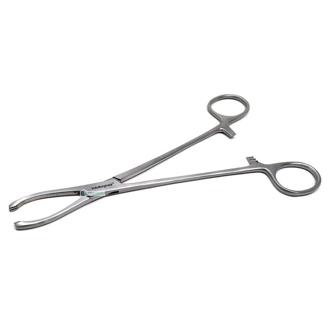 Littlewood Tissue Forceps Additional View