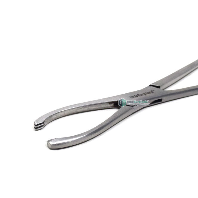 Littlewood Tissue Forceps Additional View