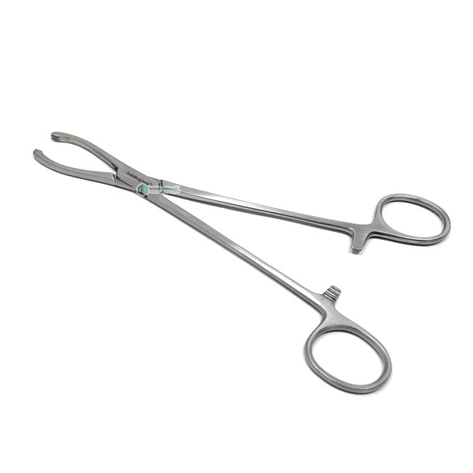 Littlewood Tissue Forceps Additional View