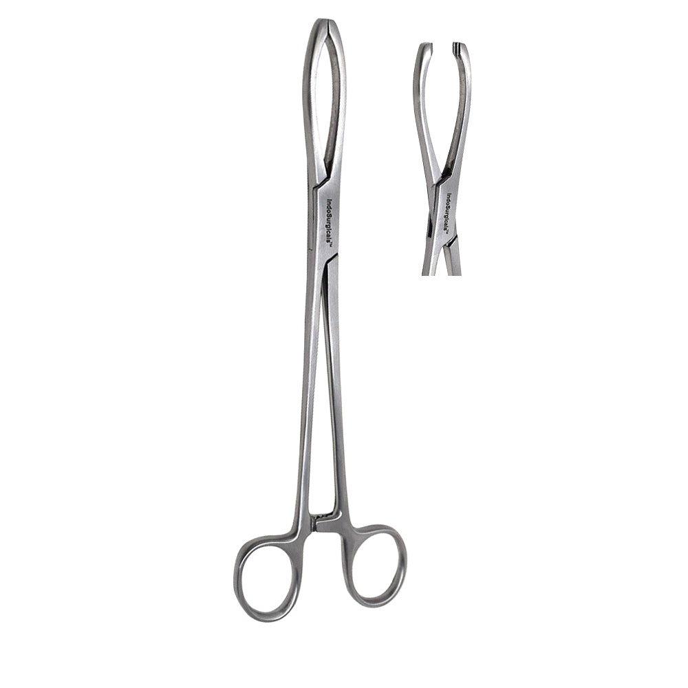 Littlewood Tissue Forceps