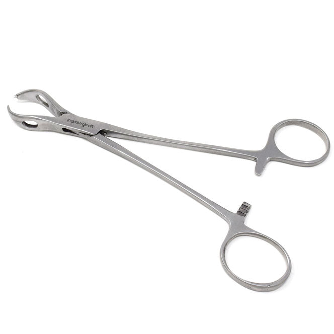 Lanes Tissue Forceps Additional View