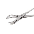 Lanes Tissue Forceps Additional View