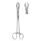 Lanes Tissue Forceps
