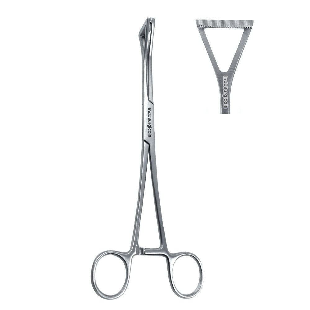 Duval Lung Holding Forceps